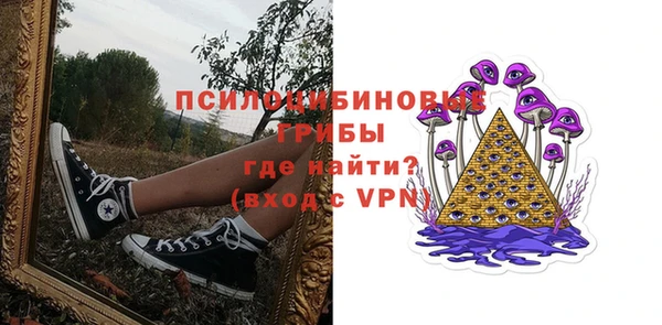 хмурый Бронницы