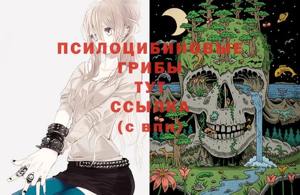 герыч Бородино