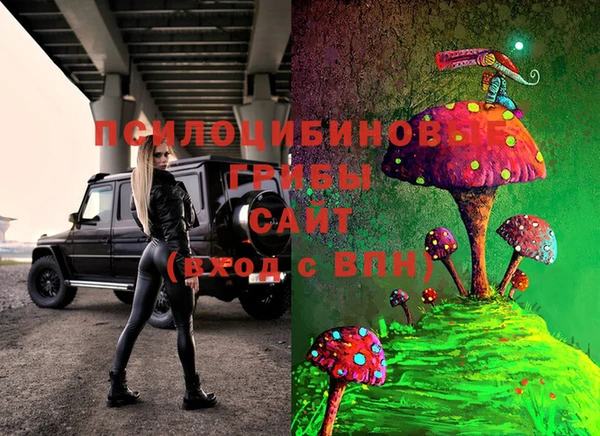 хмурый Бронницы