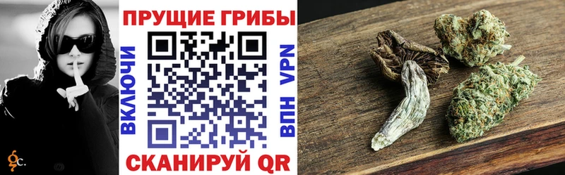 купить сайты Пойковский hydra tor Псилоцибиновые грибы GOLDEN TEACHER